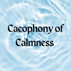 Cover of Cacophony of Calmness