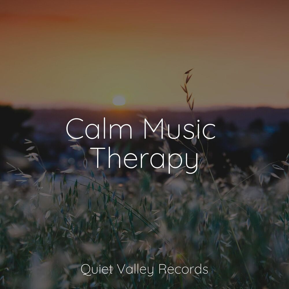 Picture of Calm Music Therapy