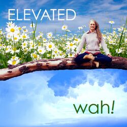 Cover of Elevated