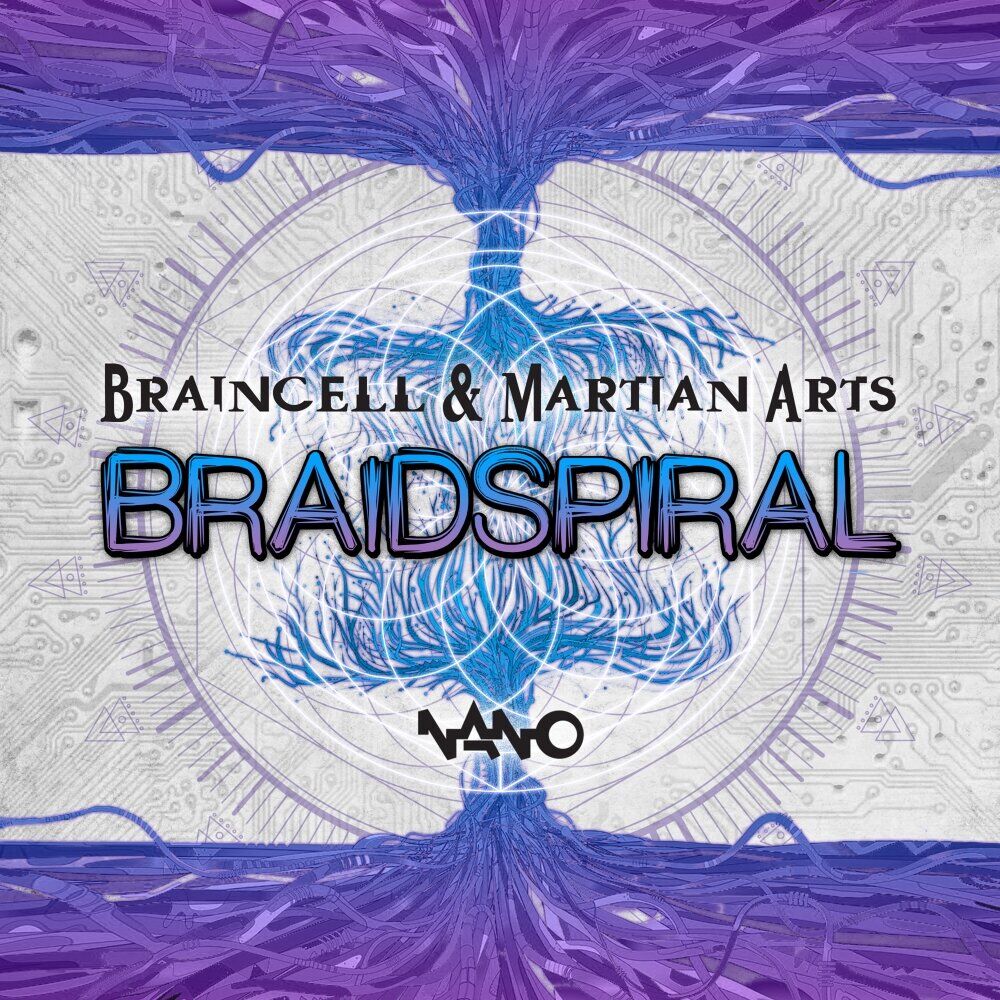 Picture of Braidspiral