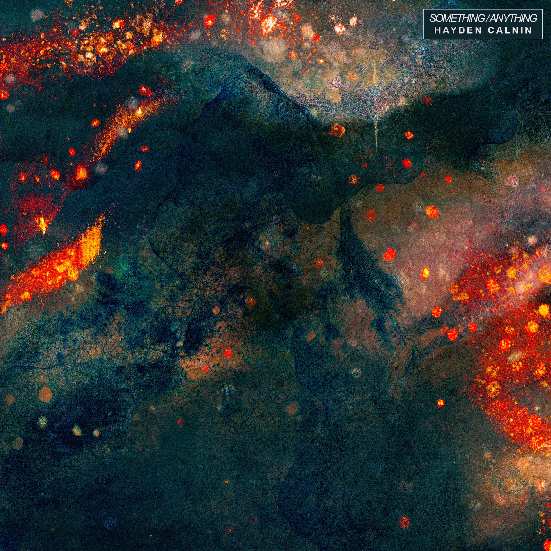Album cover of Something/Anything