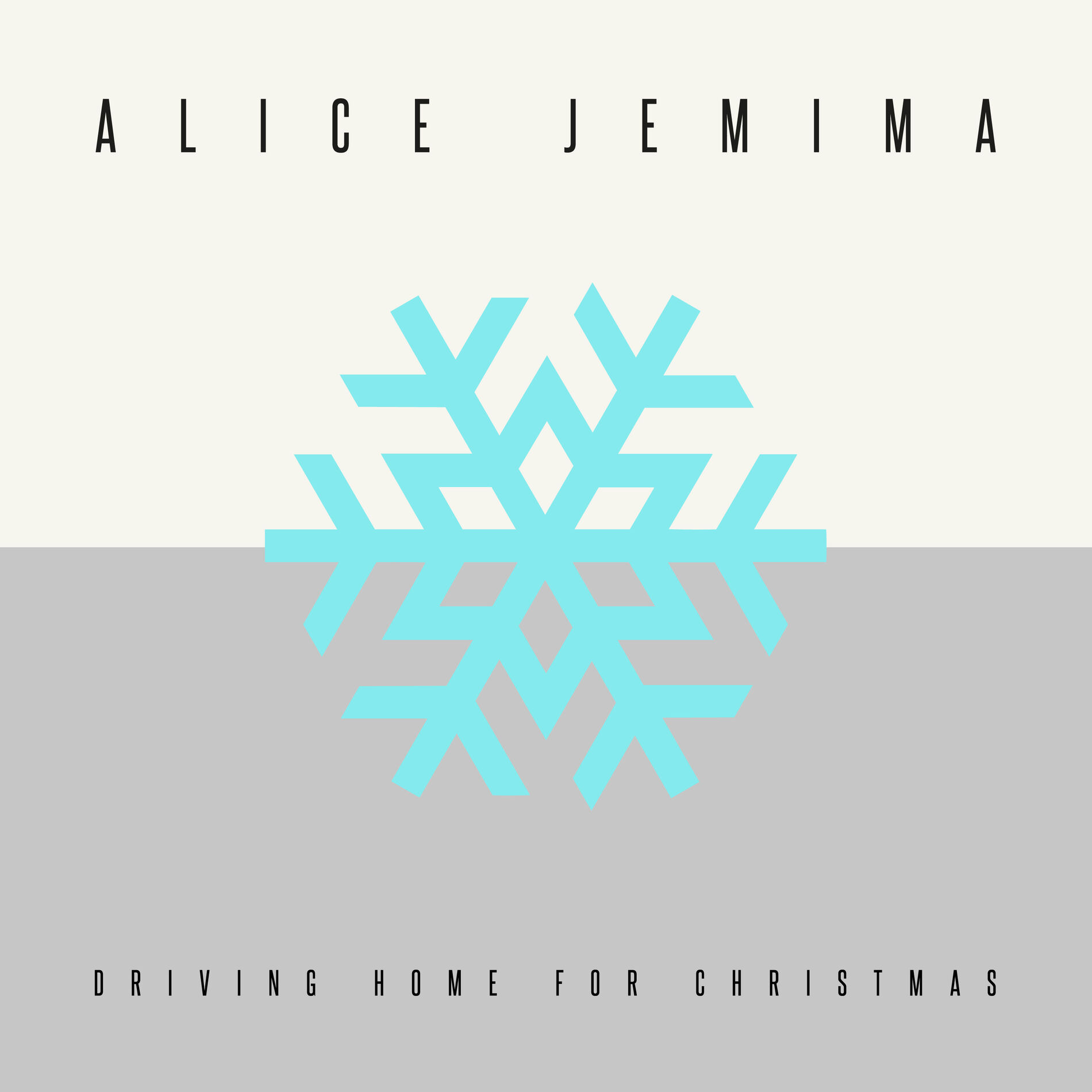 Album cover of Driving Home for Christmas