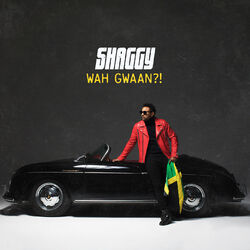 Cover of Wah Gwaan?!