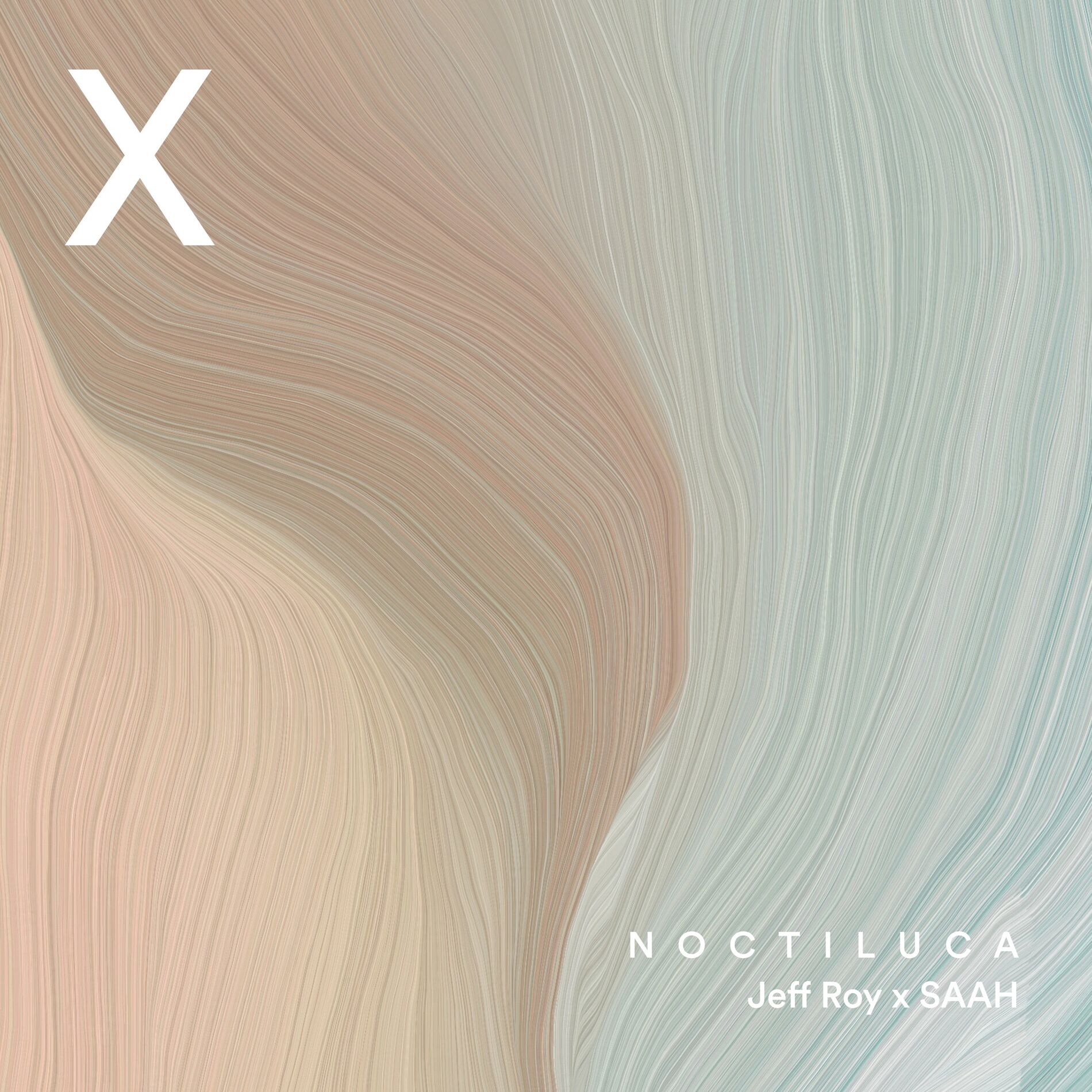 Album cover of Noctiluca