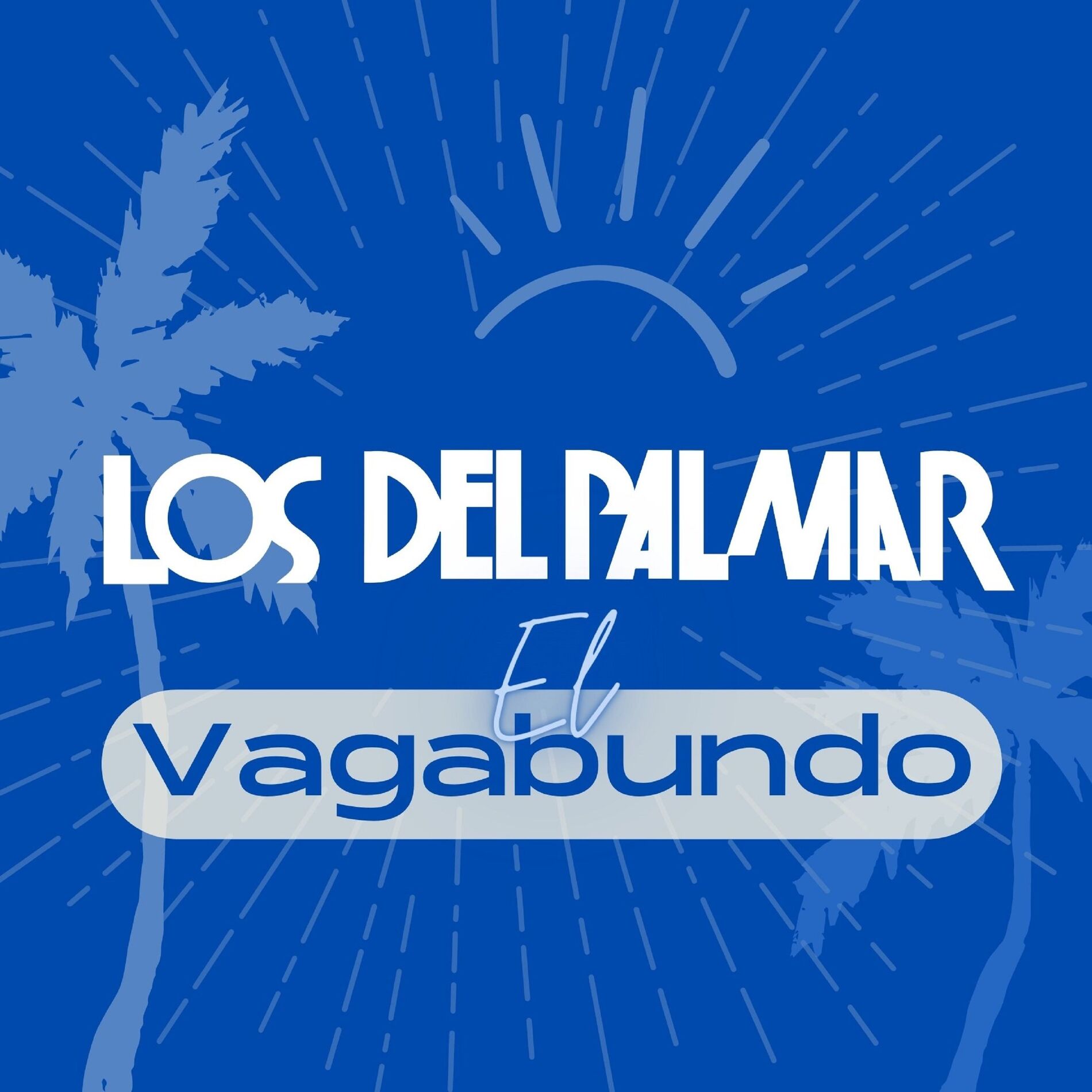 Album cover of El Vagabundo