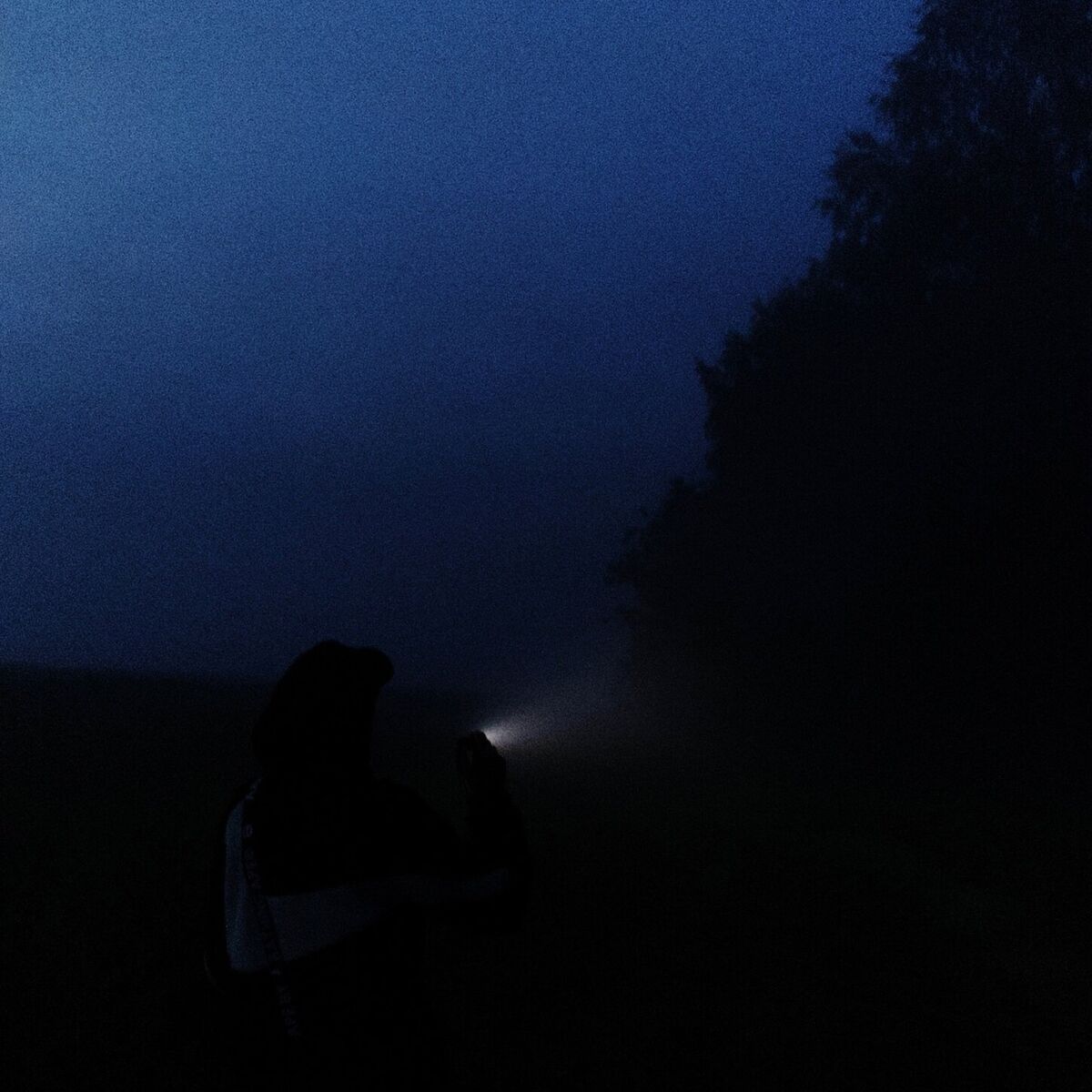 Album cover of Missing Hope