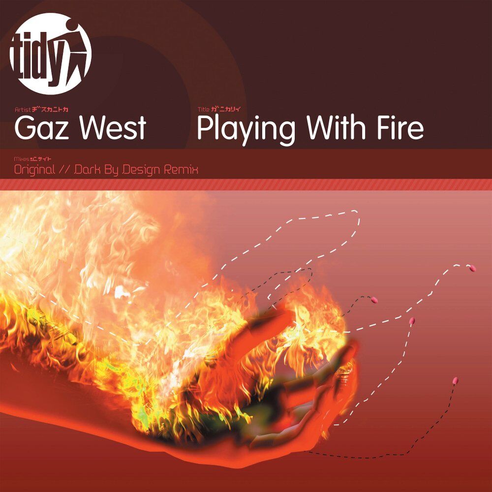 Picture of Playing With Fire