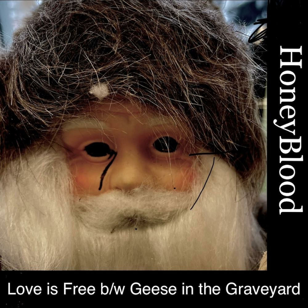 Album artwork for Geese in the Graveyard by Honeyblood