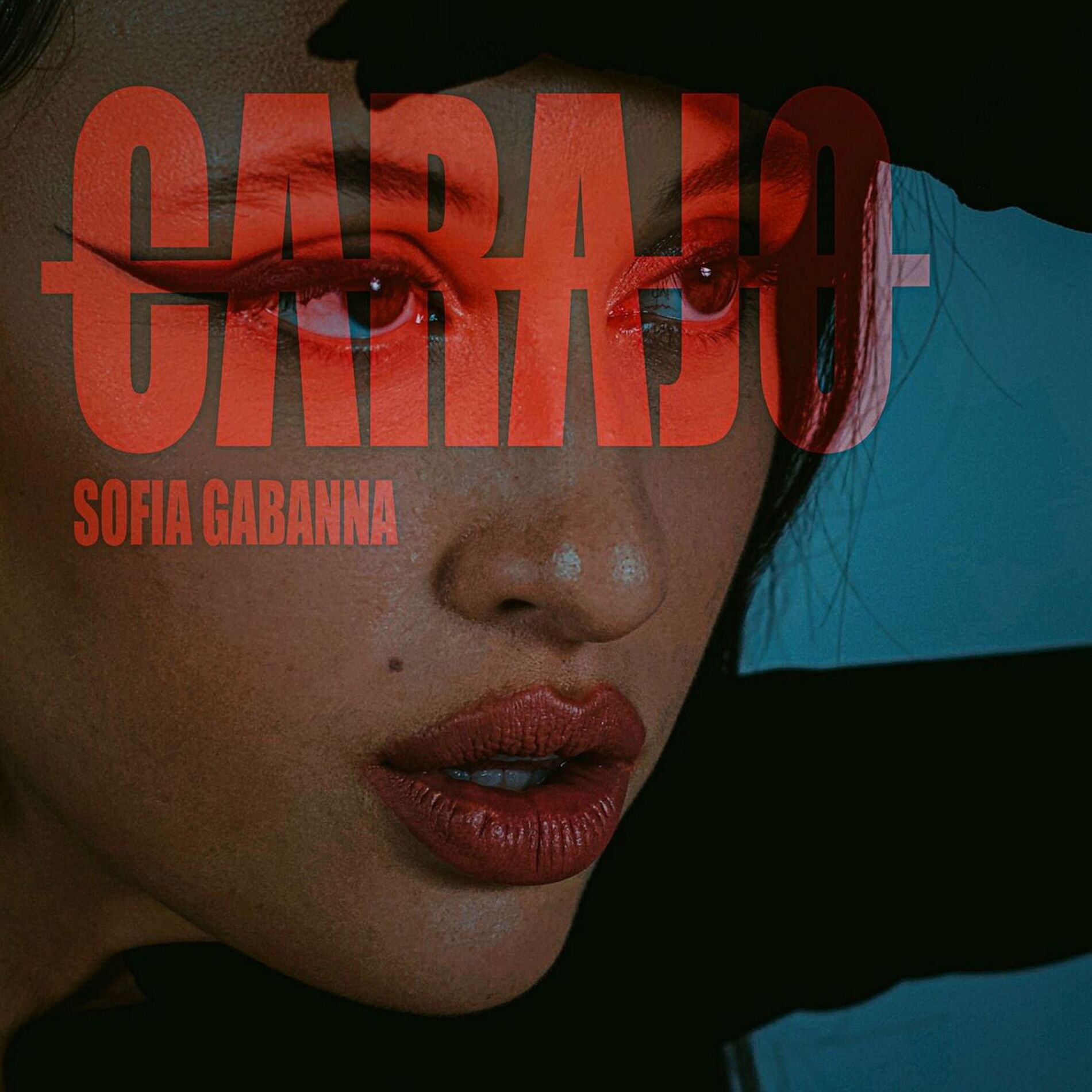 Album cover of Carajo