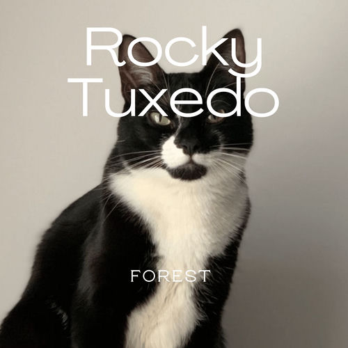 Rocky Tuxedo