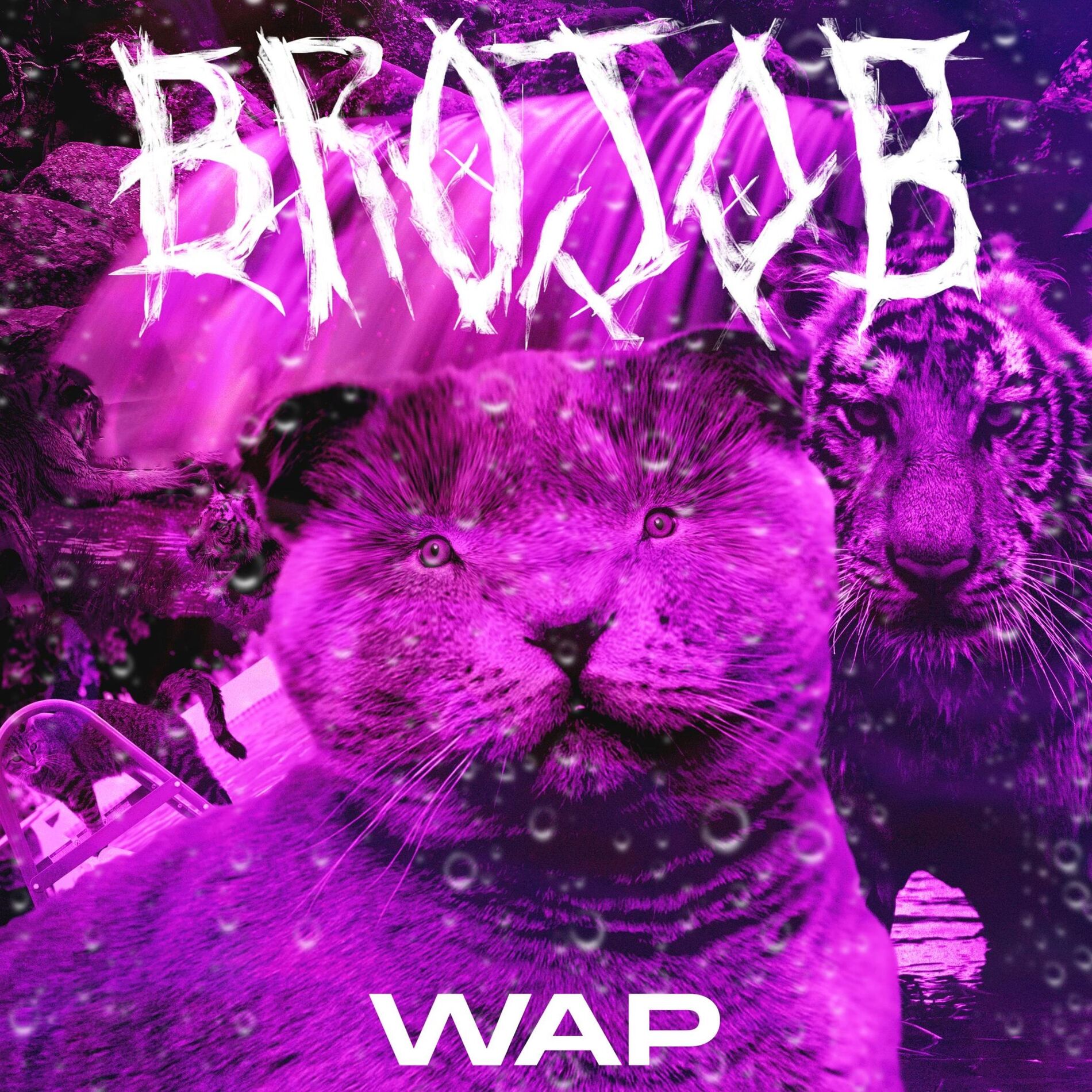 Album cover of WAP