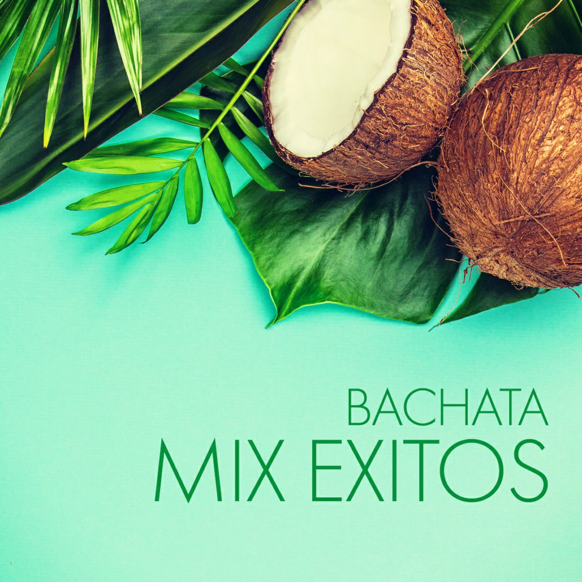 Album cover of Bachata Mix Exitos