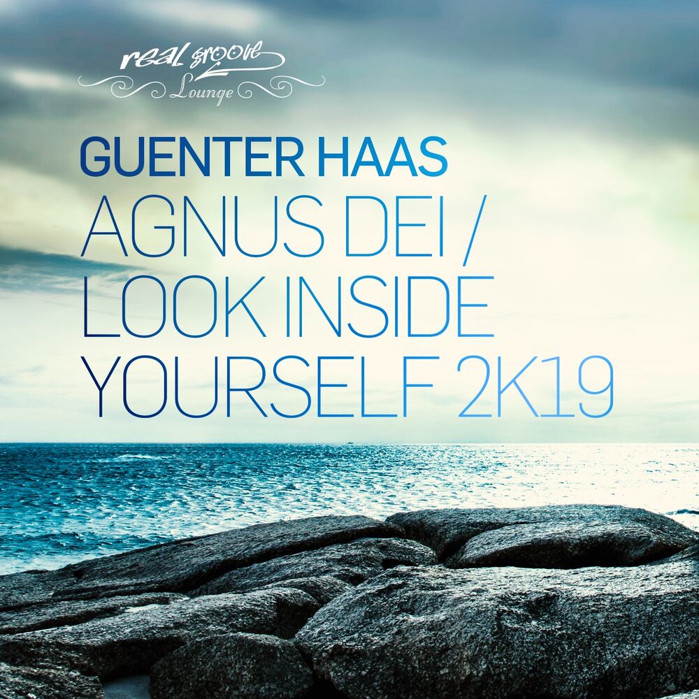 Picture of Agnus Dei / Look Inside Yourself 2K19