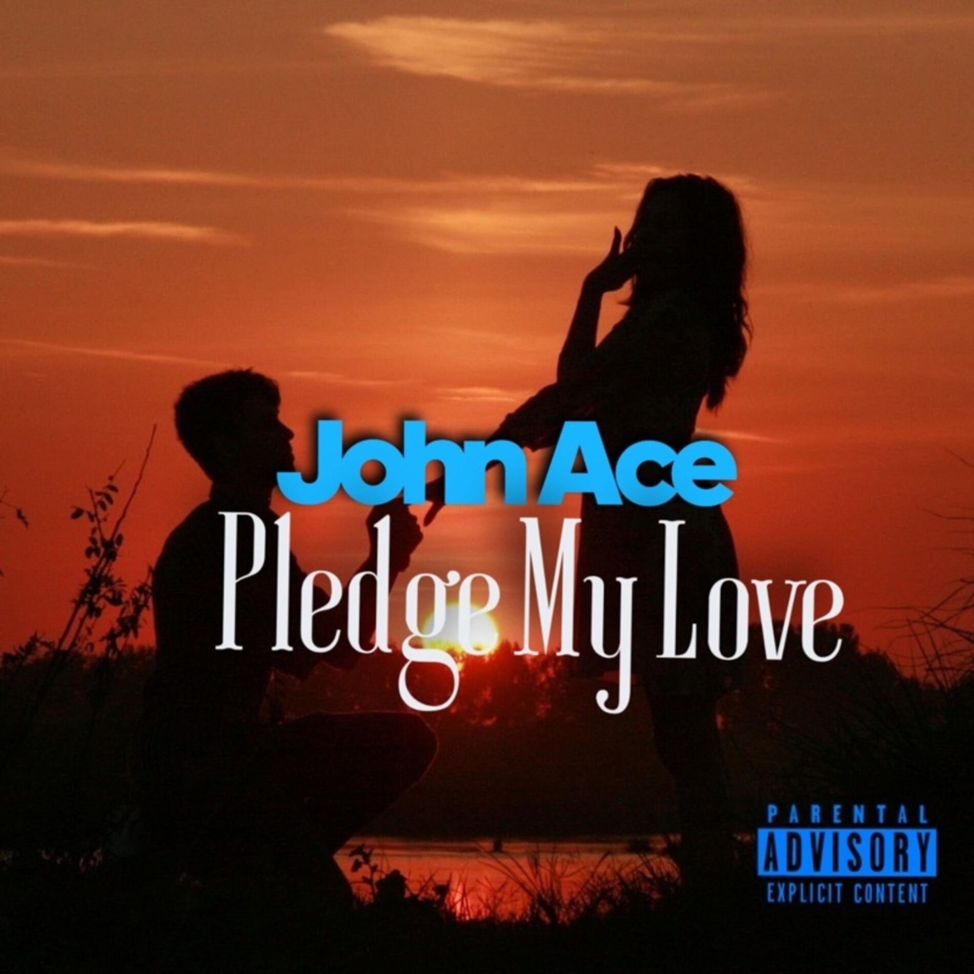 Album cover of Pledge My Love