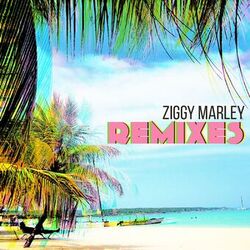 Cover of Remixes