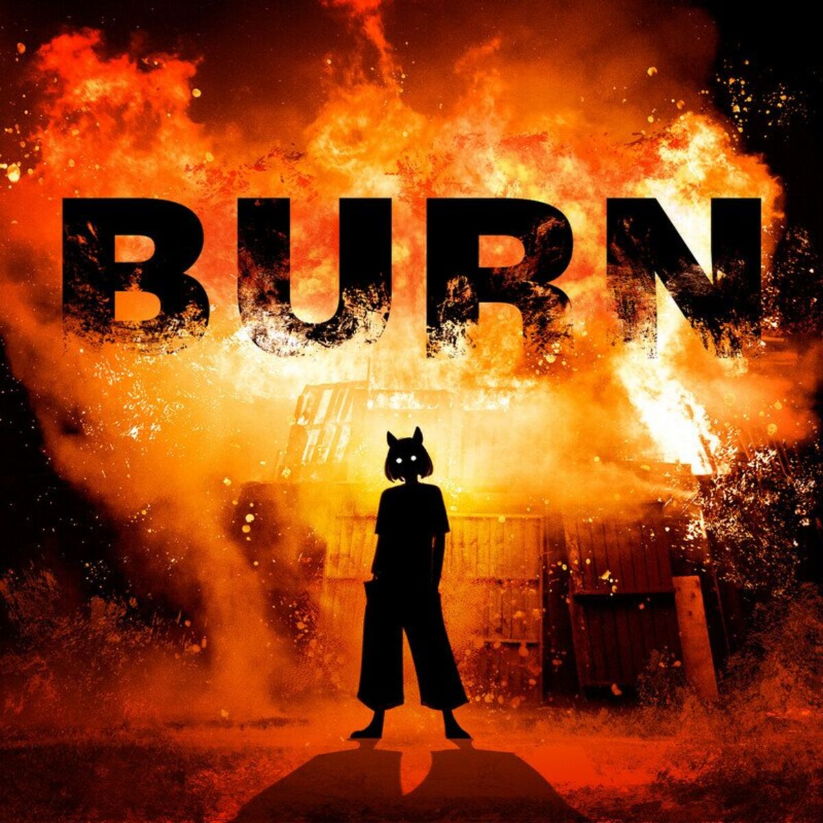 Album cover of Burn