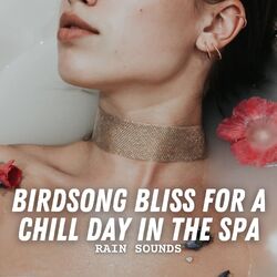 Cover of Rain Sounds: Birdsong Bliss for a Chill Day in the Spa