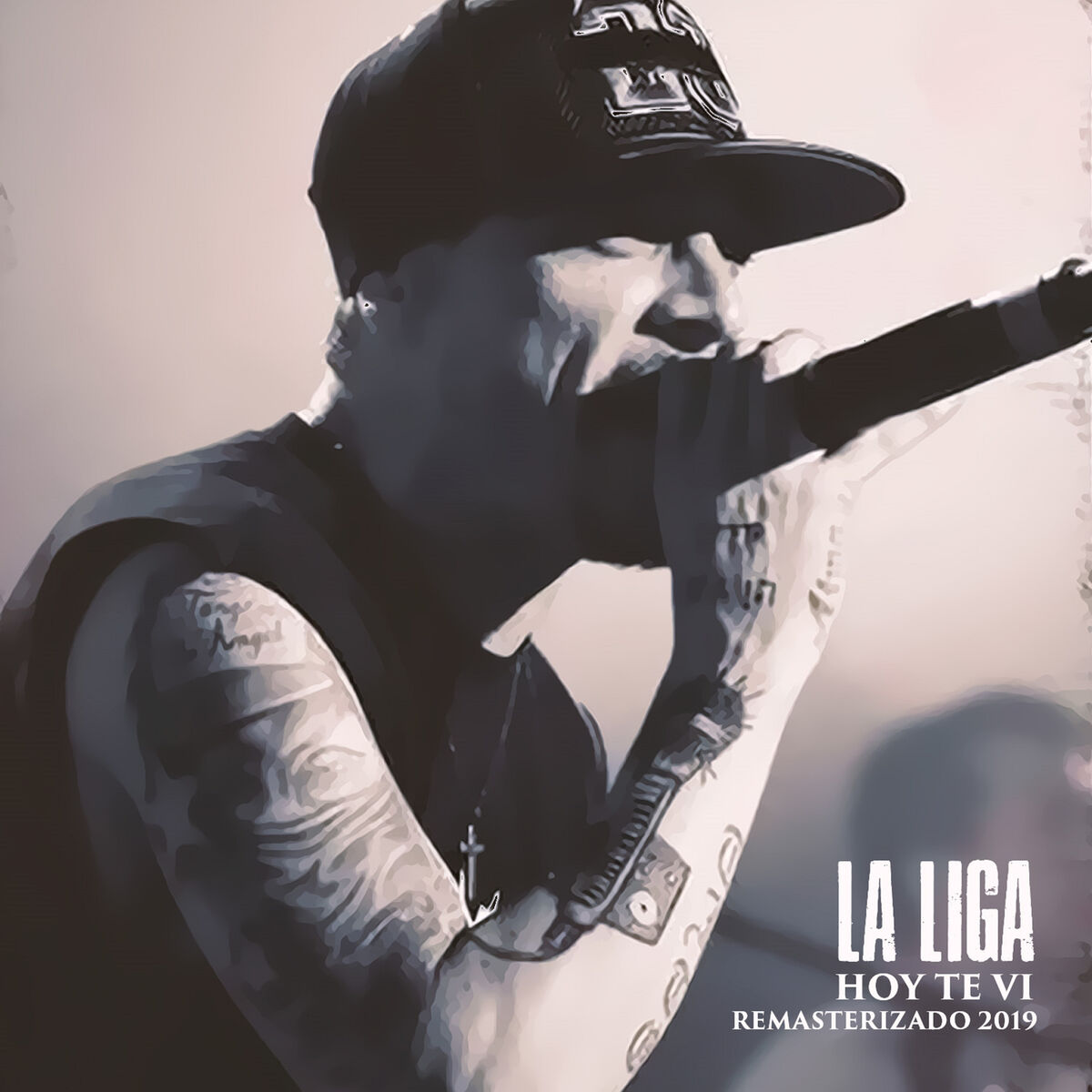 Album picture of Hoy Te Vi