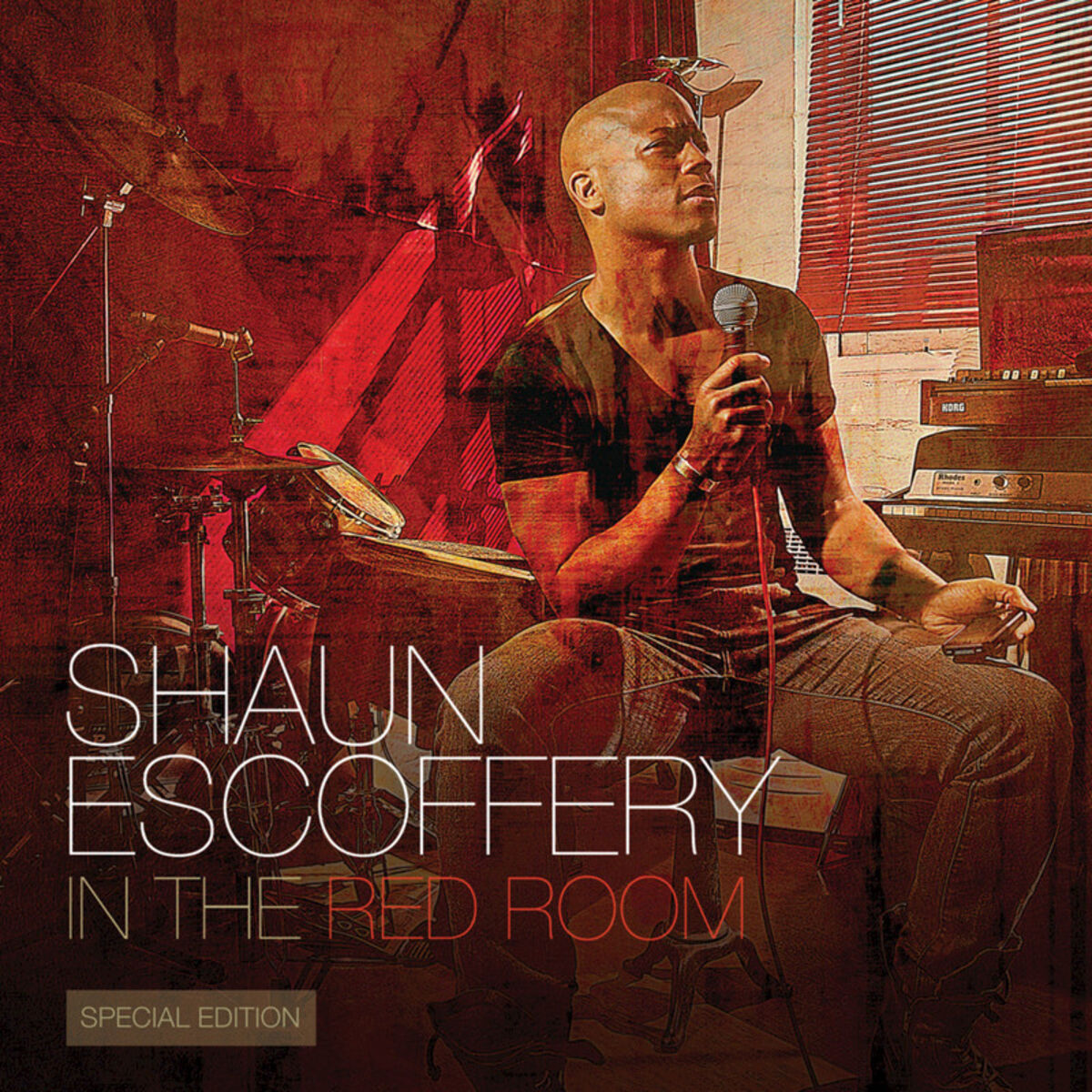 Album cover of In the Red Room (Special Edition)