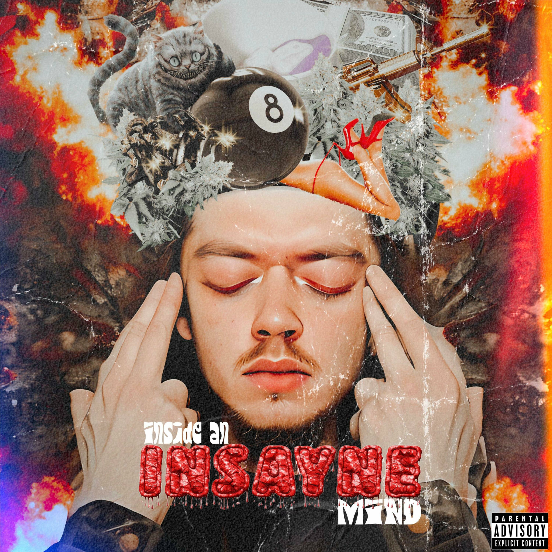 Album cover of Inside An Insayne Mind