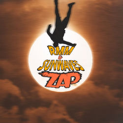 Cover of Zap by undefined