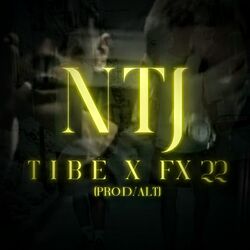 Cover of Ntj