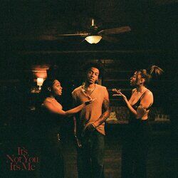Cover of it's not you, it's me