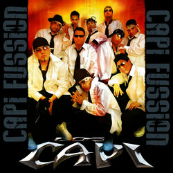Cover of Capi Fussion
