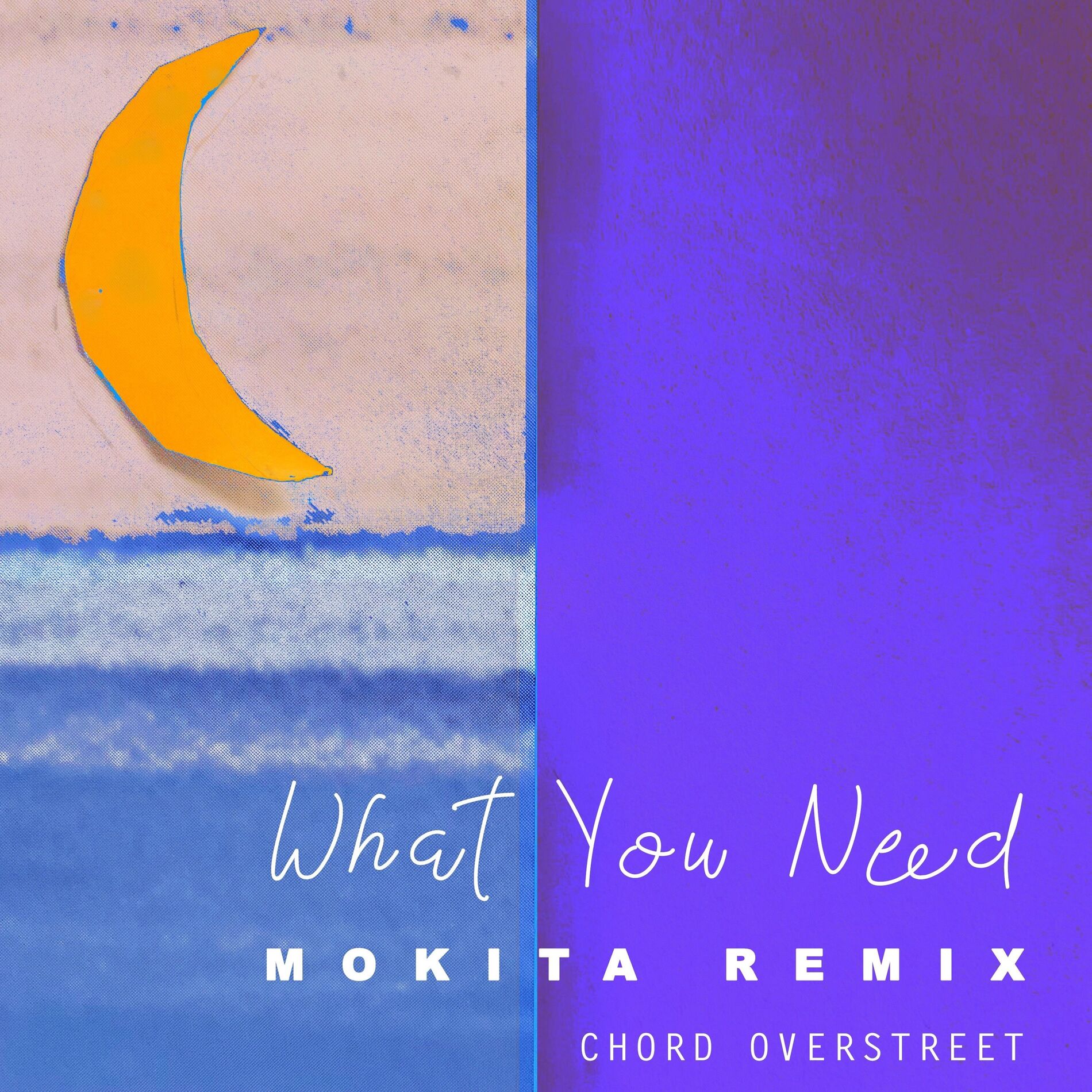 Album cover of What You Need (Mokita Remix)