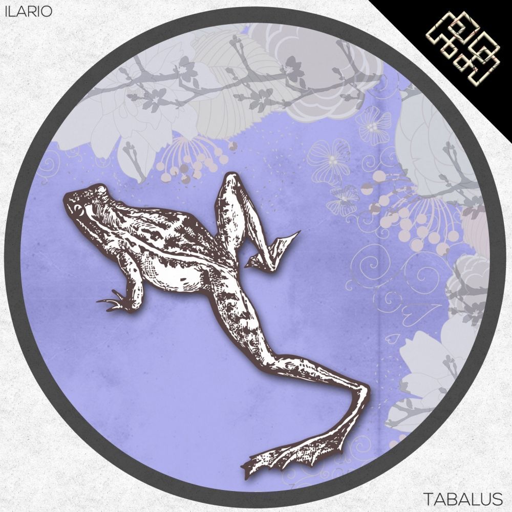 Picture of Tabalus