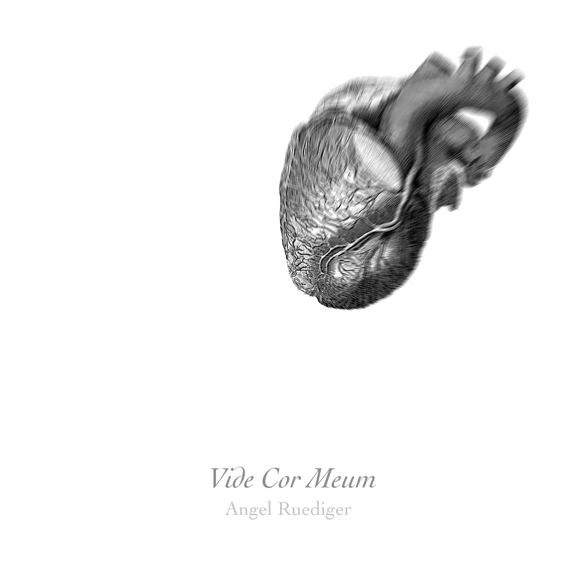 Album cover of Vide Cor Meum