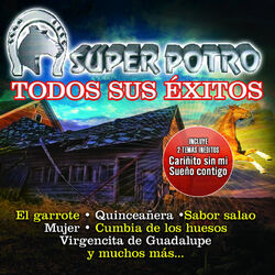 Cover of Todos Sus Éxitos