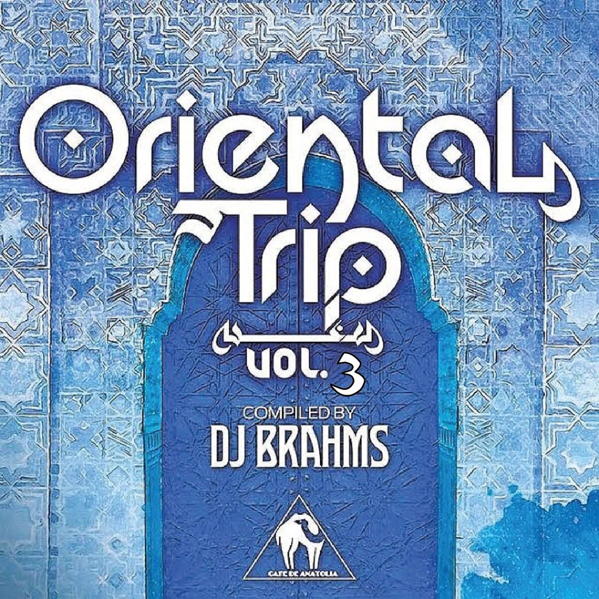 Album cover of Oriental Trip, Vol. 3 (Compiled by DJ Brahms)