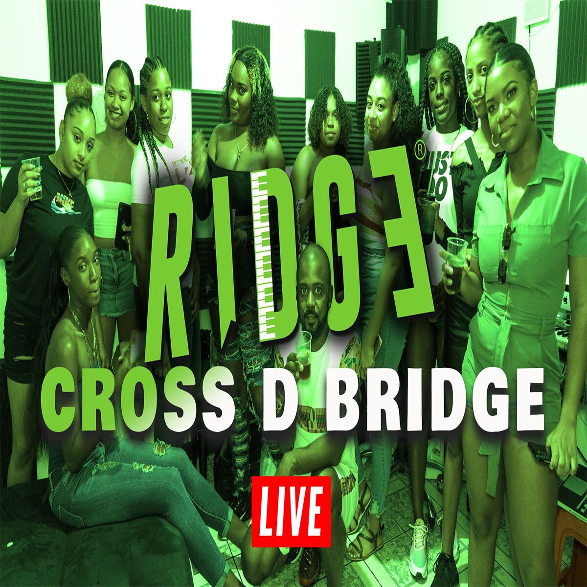 Album cover of Cross D Bridge (Live)