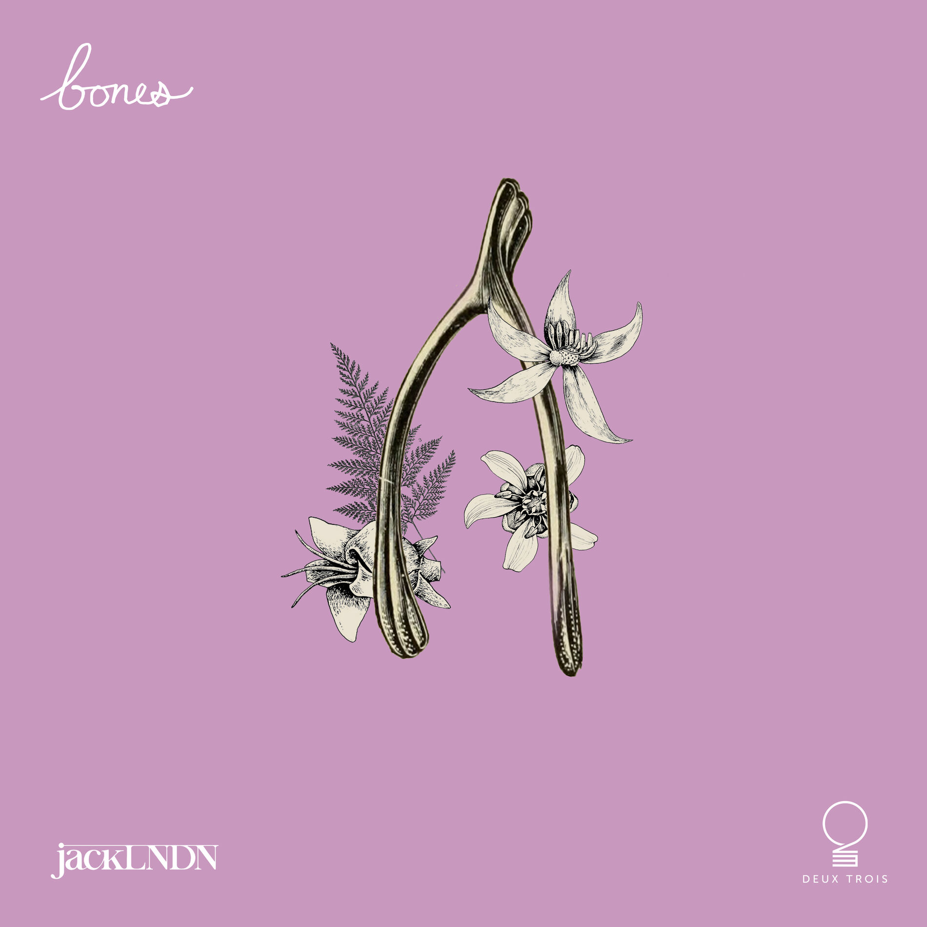 Album cover of Bones