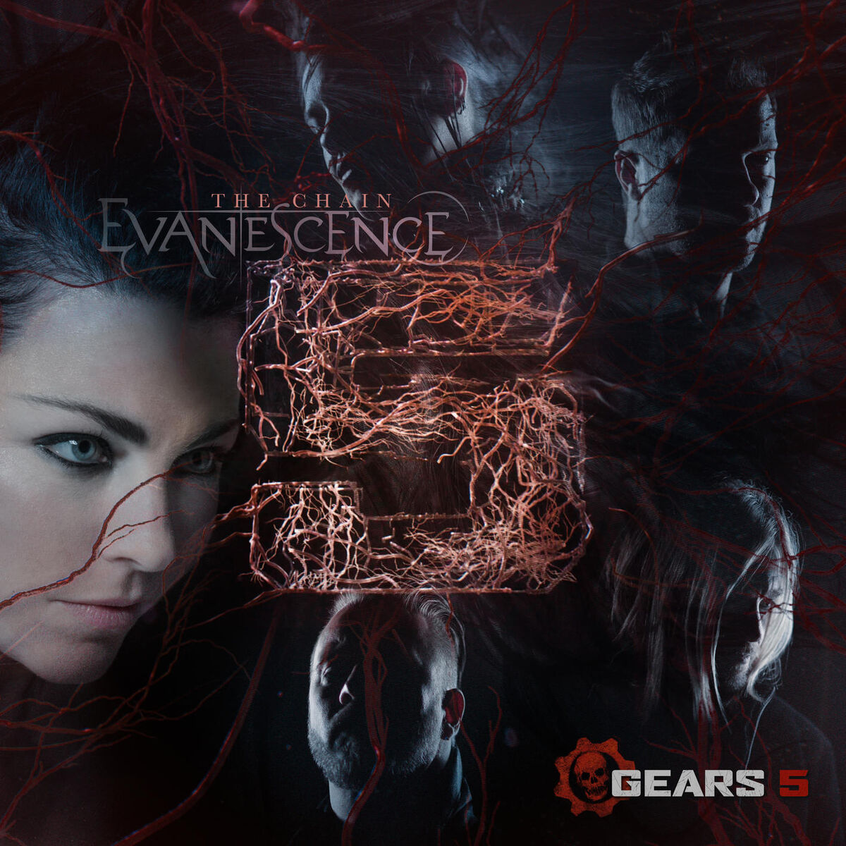 Album cover of The Chain