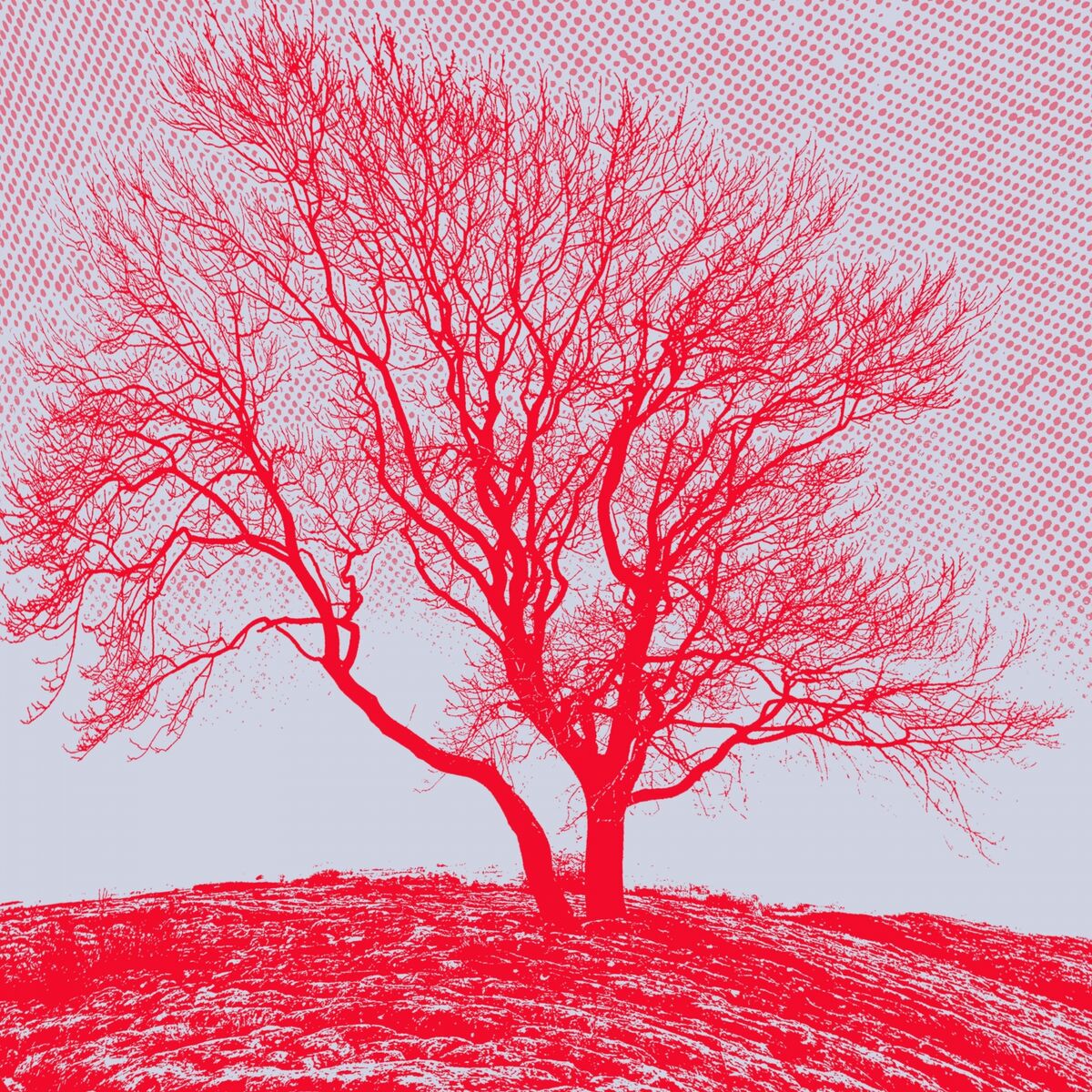 Album cover of Baum
