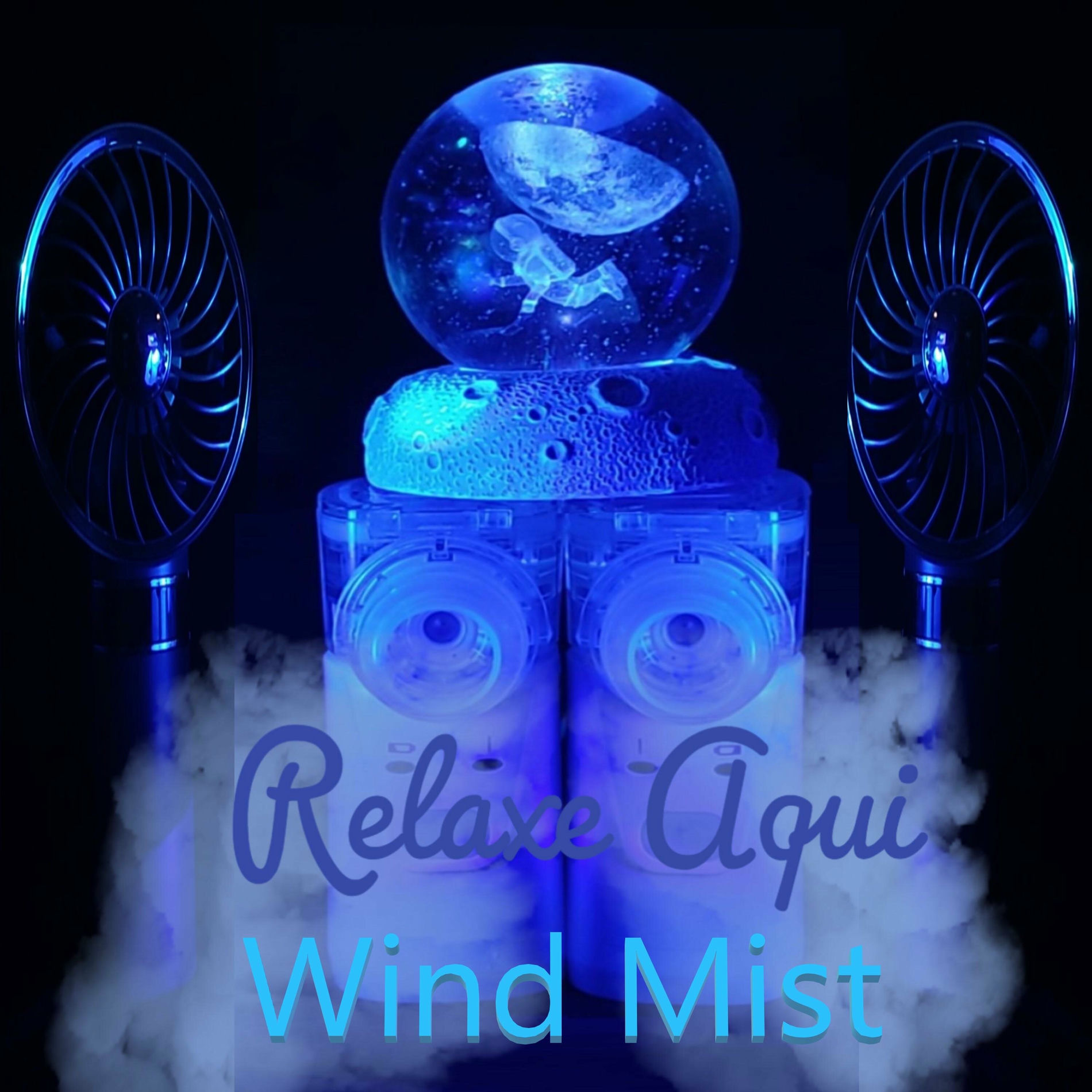 Album cover of Nebulizer Wind Mist