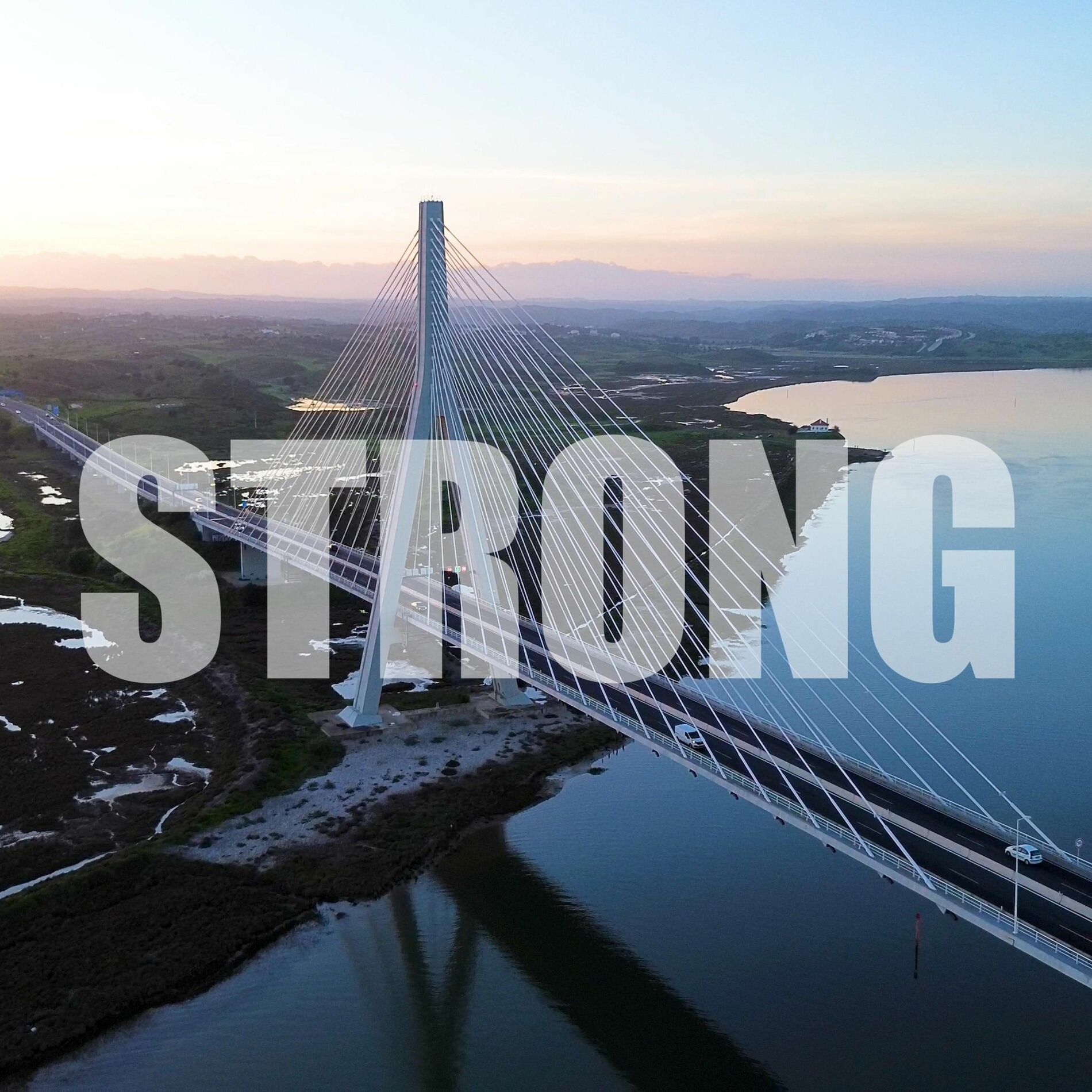 Album cover of Strong (feat. Prisma)