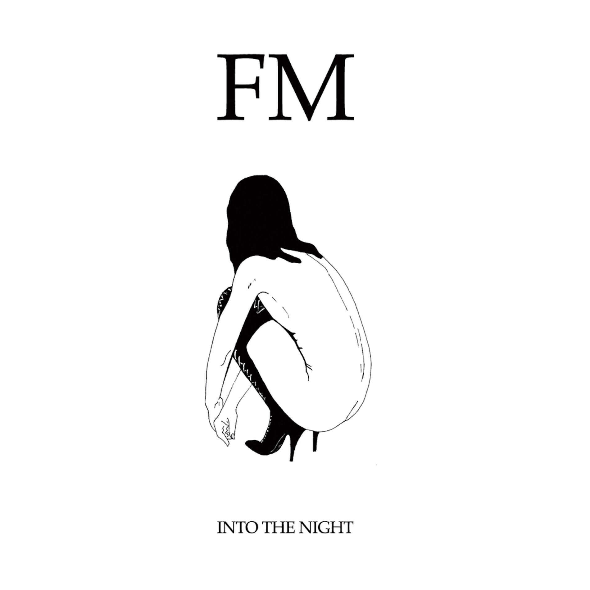 Album cover of Into the Night
