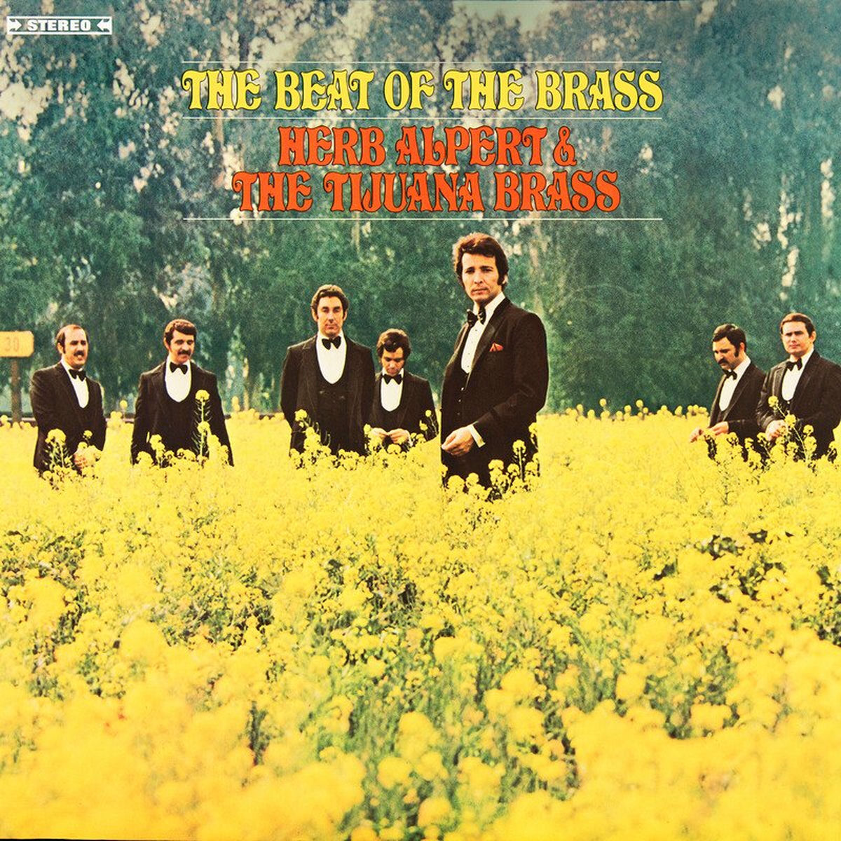 Album cover of Monday, Monday