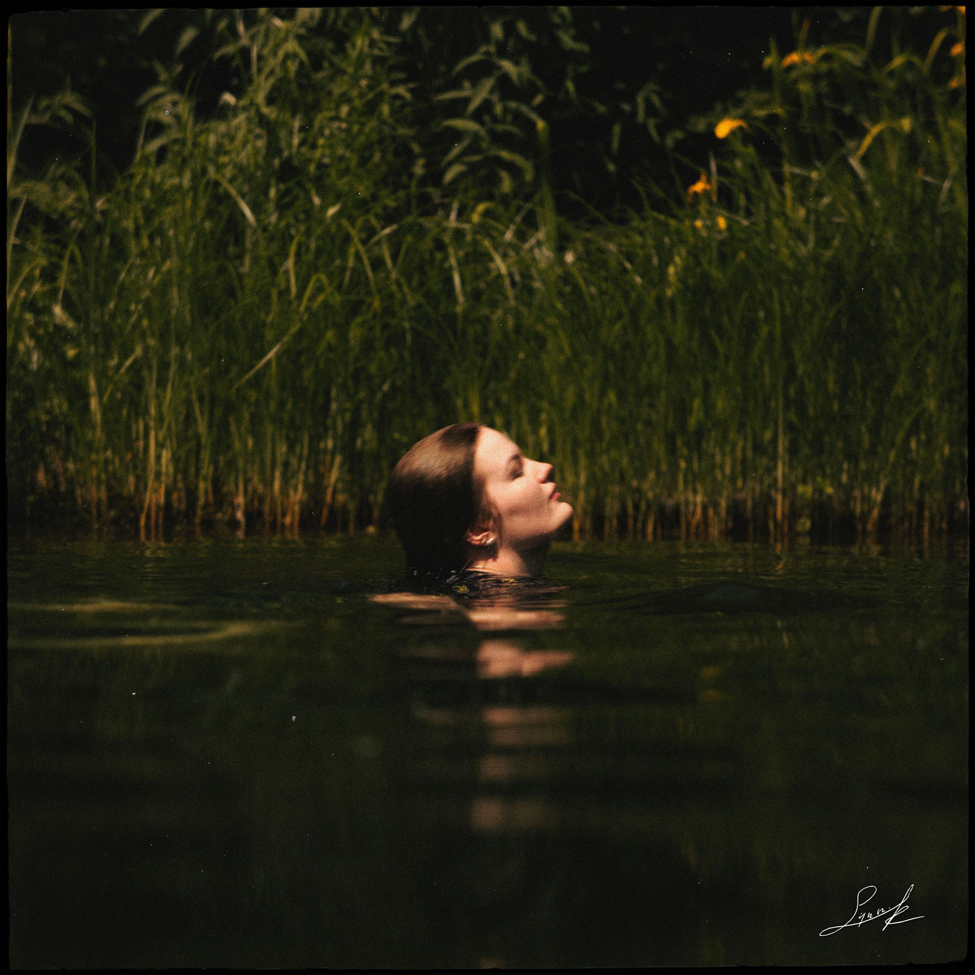 Album cover of You Don't Do the Same