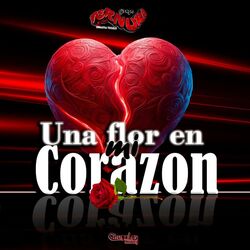 Cover of Una flor en mi Corazòn
