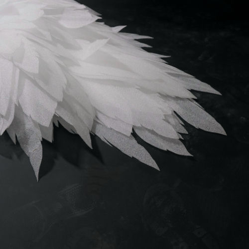 Плачут ли ангелы?