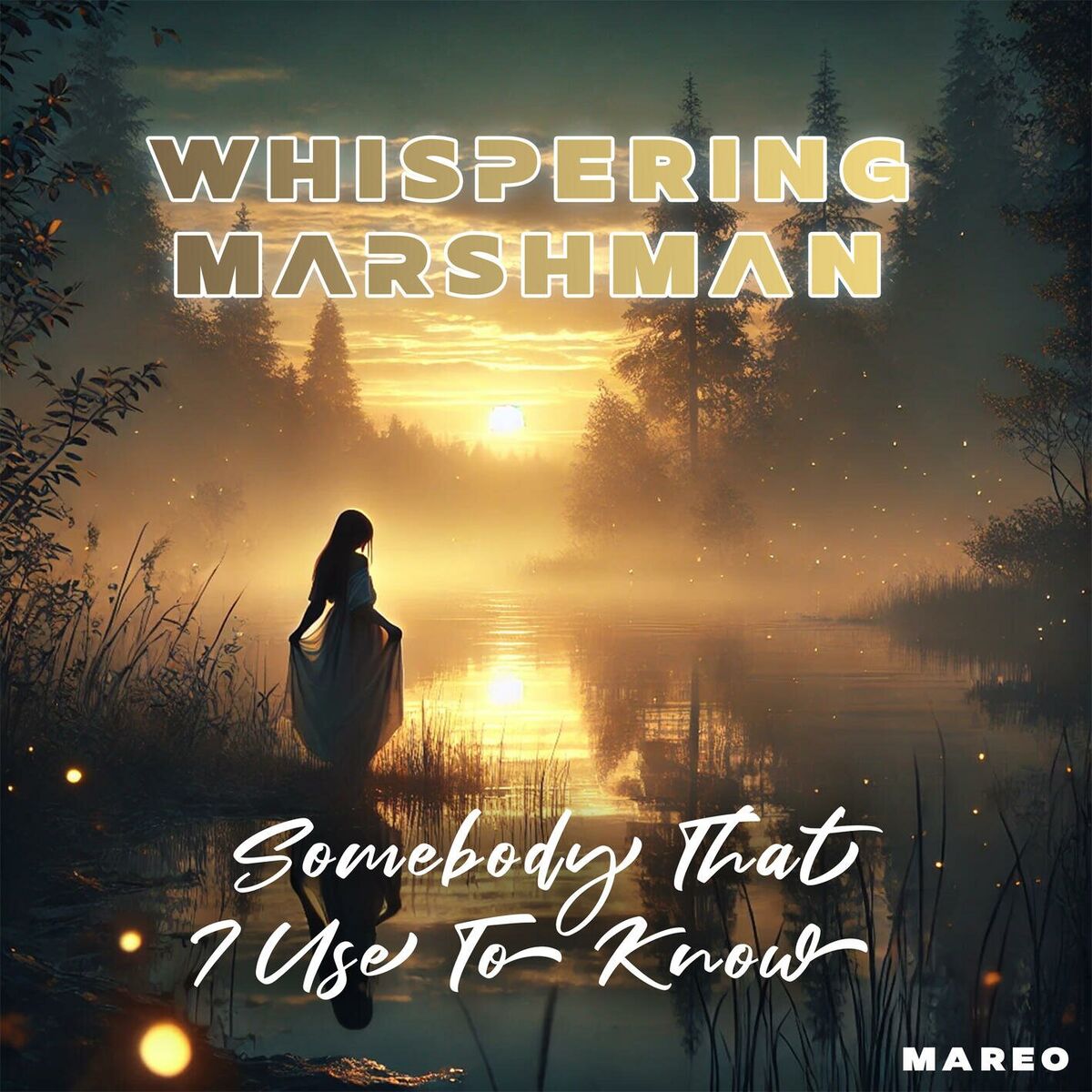Album cover of Somebody That I Used To Know