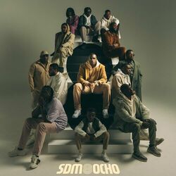 Cover of OCHO