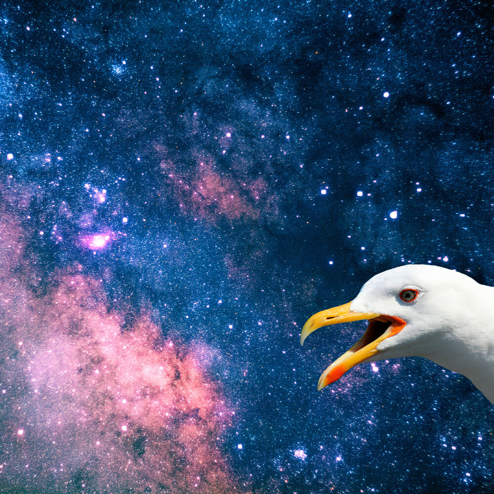 Picture of L'universo non esiste