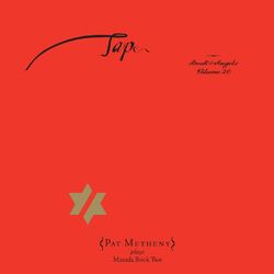Cover of Tap: Book of Angels, Vol. 20