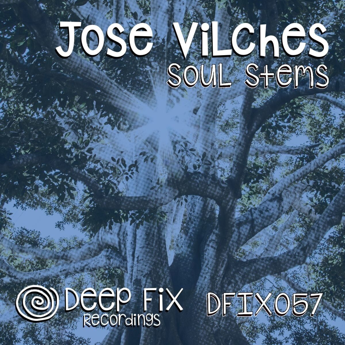 Album cover of Soul Stems