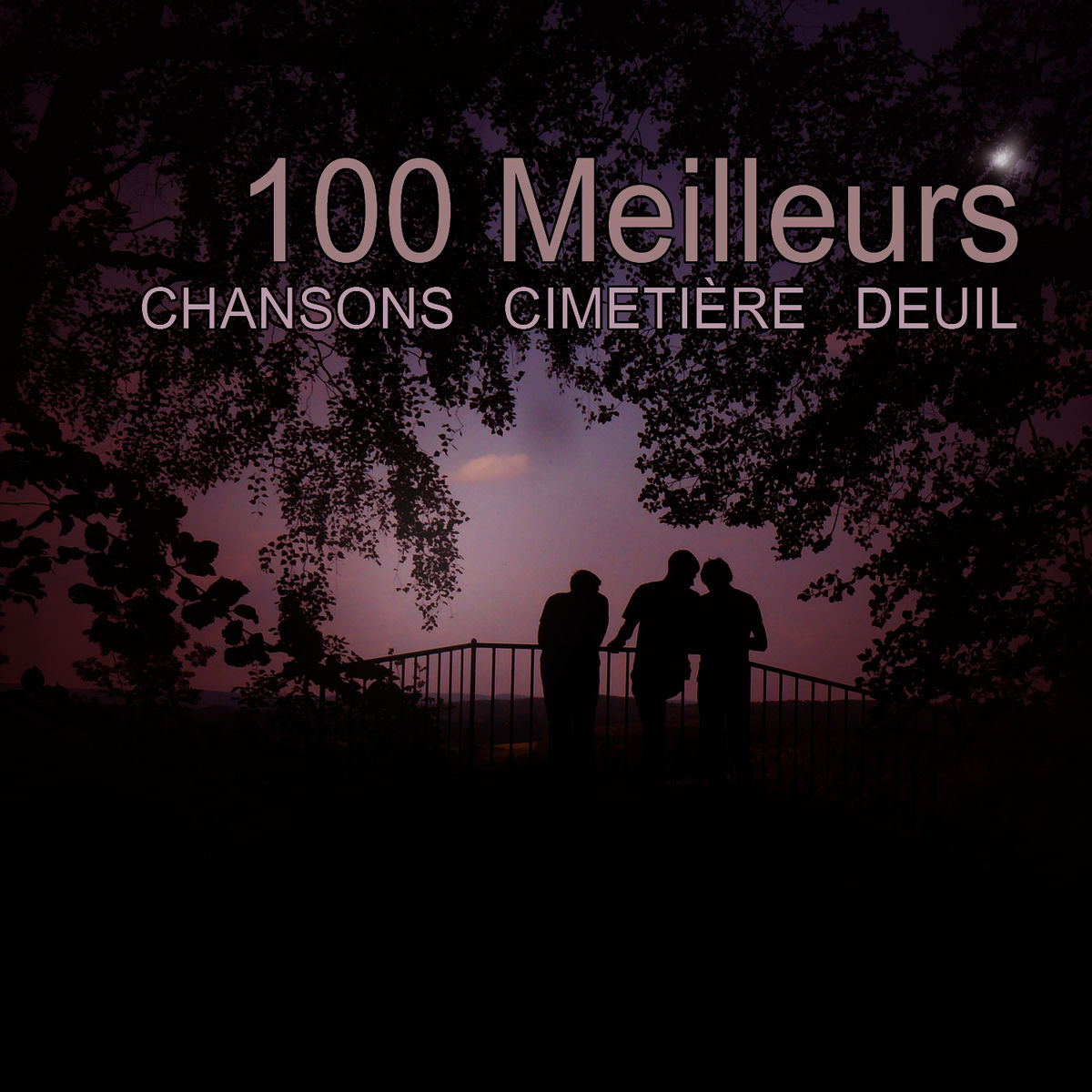 Album cover of Moonlight Shadow (Carried Away)